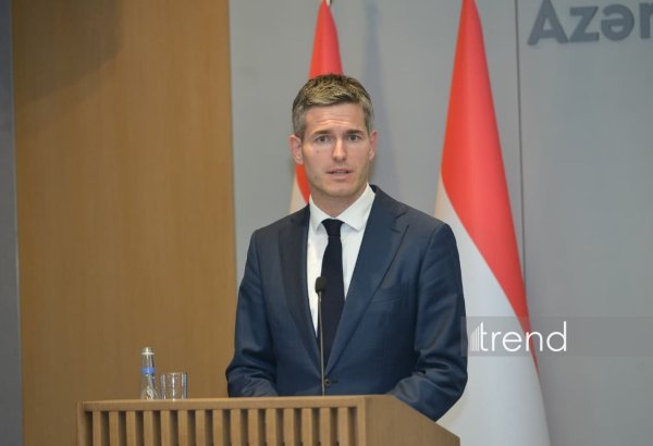 Azərbaycanın Ermənistanla sülh prosesindəki liderliyi çox yüksək qiymətləndirilir - Niderland XİN