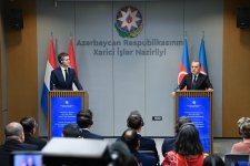Azərbaycan və Niderland siyasi və iqtisadi əməkdaşlığı genişləndirməyi müzakirə ediblər (FOTO)