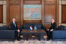 Azərbaycan və Niderland siyasi və iqtisadi əməkdaşlığı genişləndirməyi müzakirə ediblər (FOTO)