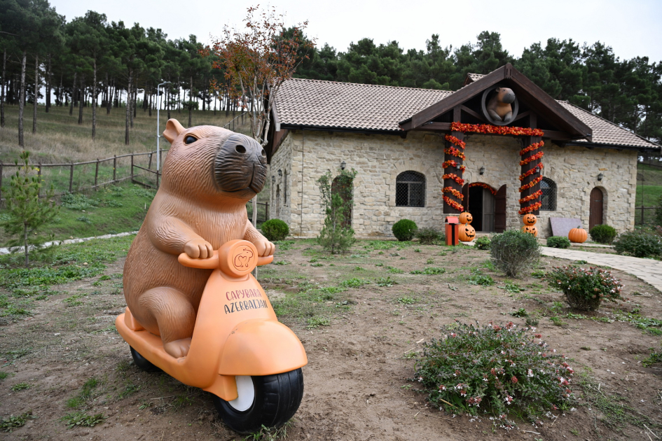 Leyla Əliyeva və Alyona Əliyeva Şamaxıda “Capybara Azerbaijan” fermasında olublar (FOTO)