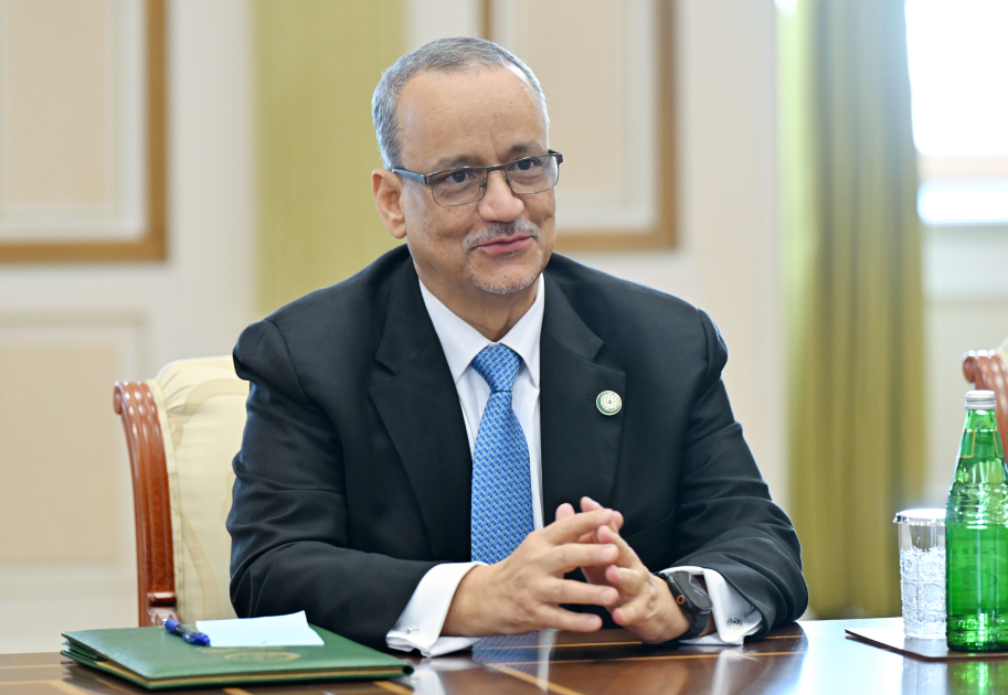 Prezident İlham Əliyev İslam Əməkdaşlıq Təşkilatının baş katibini qəbul edib (FOTO)