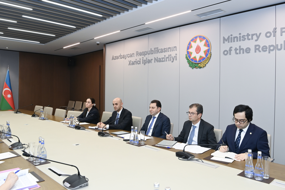Azərbaycan və UNESCO arasında əməkdaşlıq məsələləri müzakirə olunub (FOTO)