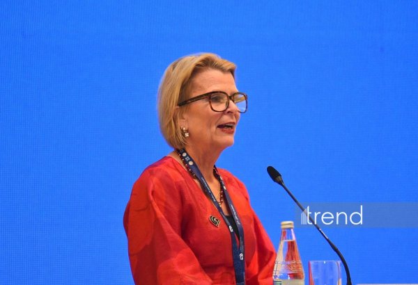 Gənclər qərarların hazırlanmasında tərəfdaş olmalıdırlar - UNESCO rəsmisi