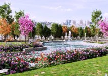 Bakının mərkəzində yeni park salınır (FOTO)