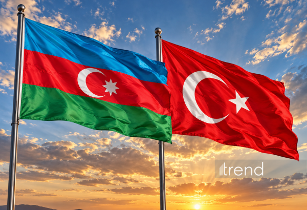 Azərbaycanın suveren seçimləri və diplomatiyada qarşılılıq prinsipi