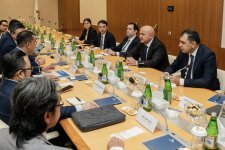 Azərbaycan və İndoneziya arasında investisiya əlaqələrinin inkişafı müzakirə edilib (FOTO)