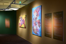 Heydər Əliyev Fondunun vitse-prezidenti Leyla Əliyeva və Alyona Əliyeva “Art Weekend”in rəsmi açılışında iştirak ediblər (FOTO)
